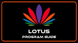 Курсы по lotus