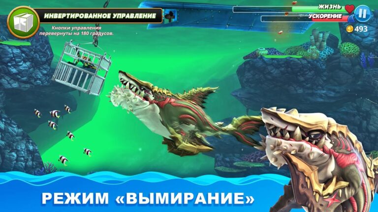 Игра hungry shark карта сокровищ